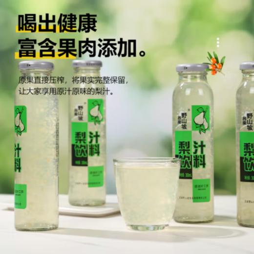 吕梁野山坡 梨汁300ml 商品图0