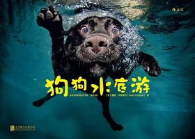 狗狗水底游