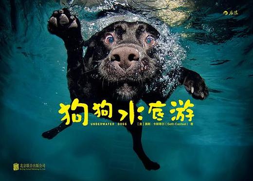 狗狗水底游 商品图0