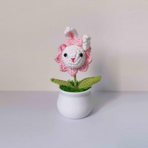 梓艺兴手工#原创编织小盆栽 商品图10