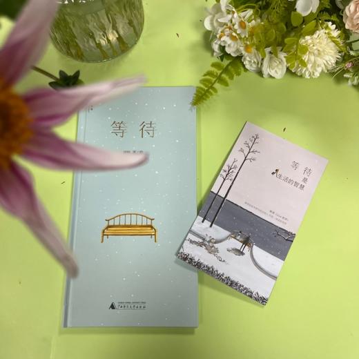 神秘岛 · 等待   刘畅 著/绘  适合6岁以上读者阅读 商品图1