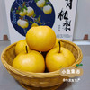 【标果每箱赠送一袋100克秋梨膏】小空山有机圆黄梨 | 合作农友生产，来自河南南召县，生产者：李 鹏 *【公平贸易农人定价】 商品缩略图12