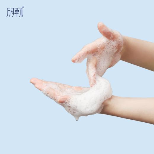 「精油洗手皂液300ml」柠檬草精油+艾叶精油 商品图1