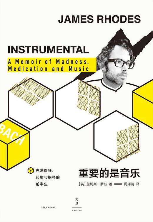 重要的是音乐 : 充满癫狂、药物与钢琴的前半生 商品图0