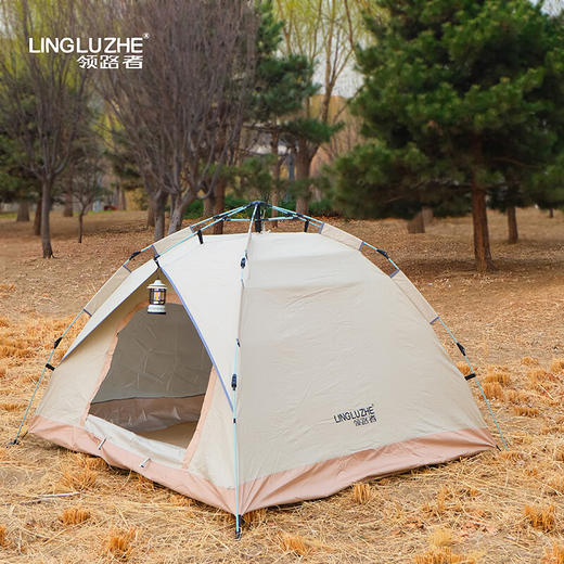领路者  双人自动帐篷LLZ-ZDZP001 商品图3
