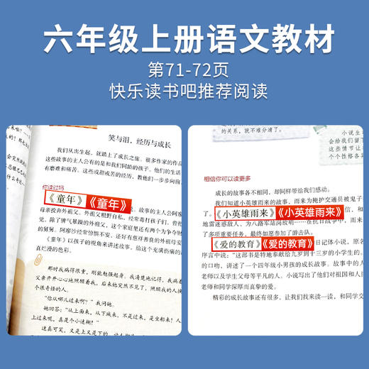 快乐读书吧六年级上册（全三册）童年 爱的教育 小英雄雨来 商品图1
