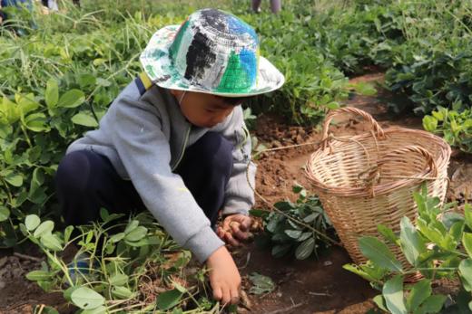 【智行研学】明州书城8月16日“山野独立营” 8:00出发 商品图4