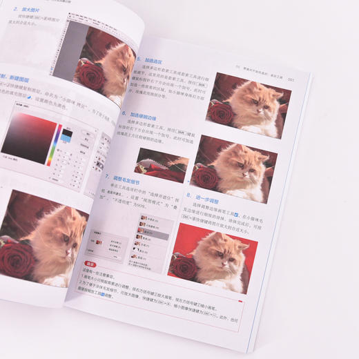 ps修图教程书籍PS是真想教会你 15天实战集训营Photoshop从入门到精通摄影软件*美工平面设计教材 商品图3