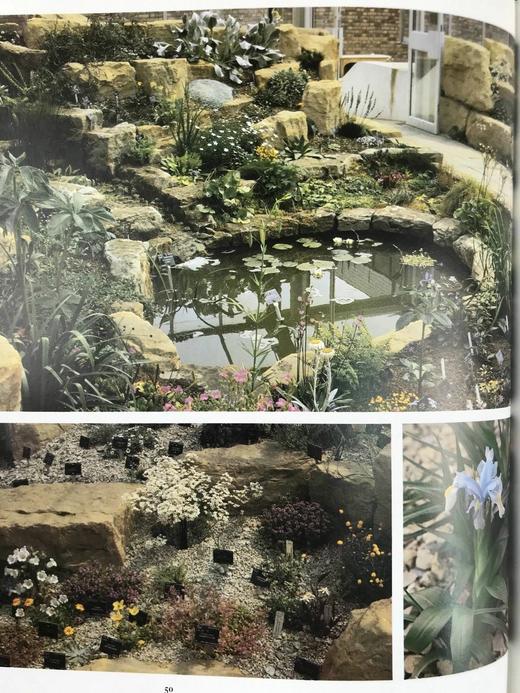 邱园：科学与娱乐的花园 数百幅插图 精装16开 商品图14