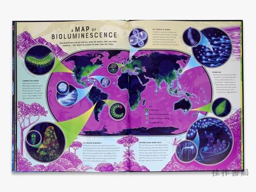 Glow: The wild wonders of bioluminescence / 发光：生物发光的奇妙世界 商品图4