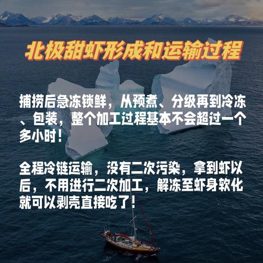 顺丰直邮【丹麦进口北极甜虾】头籽腹籽都有 解冻直接吃 肉质鲜嫩甜 低脂高蛋白 免去虾线 男女老少皆宜 商品图13