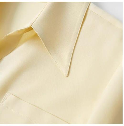 臣禾	氧气云感衬衫JZ303040375【金猪甄选】 商品图2