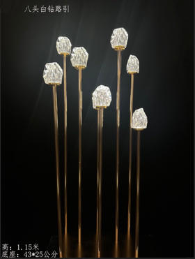 8头白钻路引（运费自理）