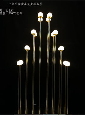 16头步步高菠萝球路引（运费自理）