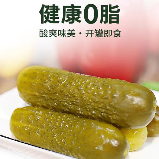 越南进口欧萨俄式酸青瓜红标|蓝标680g 商品图1