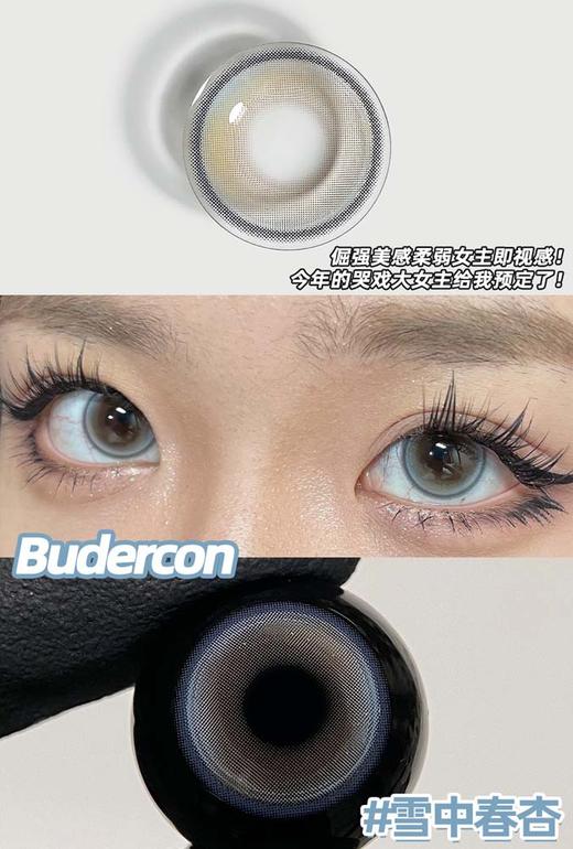 budercon 年抛 雪中春杏 直径14.2mm着色13.7mm 商品图6