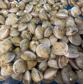 【海鲜】鲜活蛤蜊（250g）