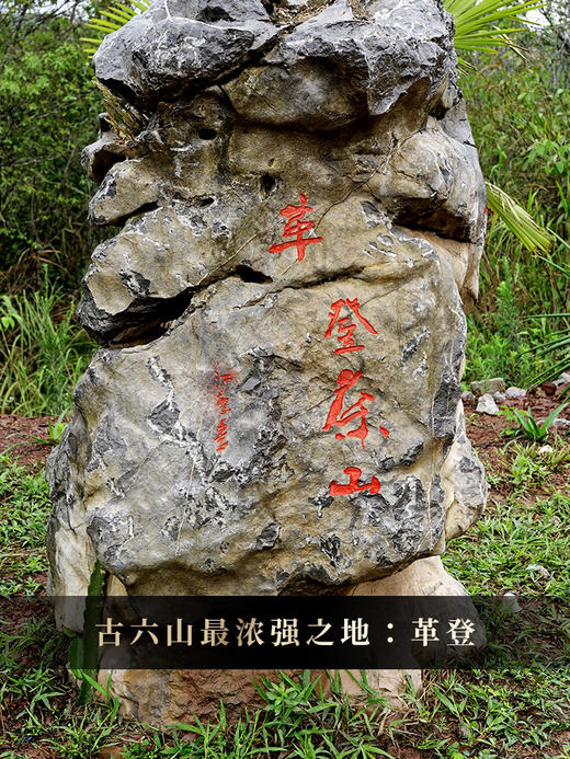 【吉星高照生茶】2022年革登新酒房头春古树原料 封山数年 口感味蕾上的征服！普洱茶生茶礼盒装 357克/饼 拍5发6 商品图7