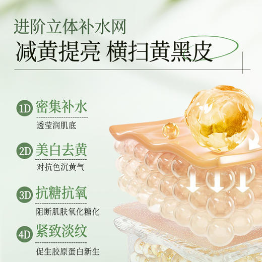 山茶花软膜粉补水保湿美白提亮去黄气暗沉美容院专用涂抹式面膜|儒意官方商城 商品图2