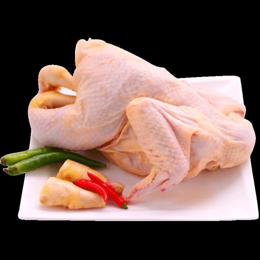 永新县象形果园散养土鸡 商品图4