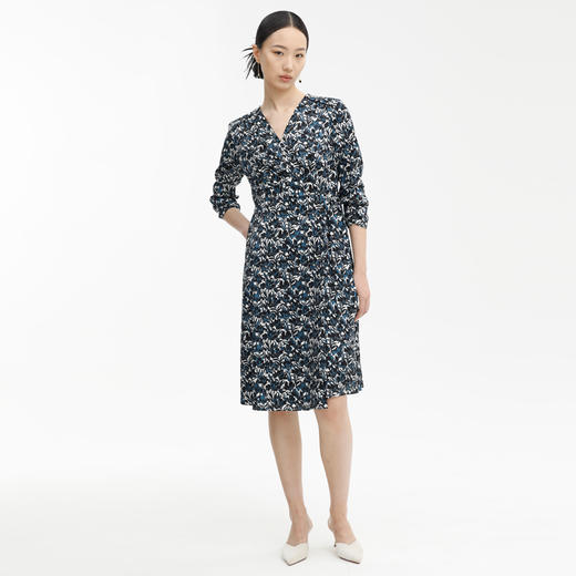 戴布拉芬连衣裙L27C501 商品图0