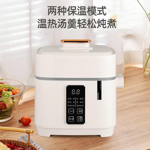 【小家电】海牌 HP-D112多功能电炖盅 卡其色 HF 商品图3