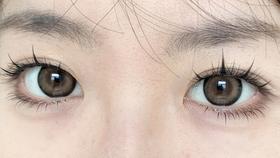 Pinkg半年抛美瞳 奶油波力 14.5mm