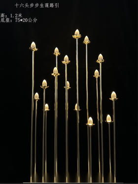 16头步步高生莲路引（运费自理）