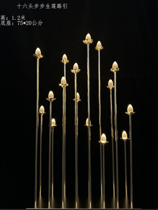 16头步步高生莲路引（运费自理） 商品图0