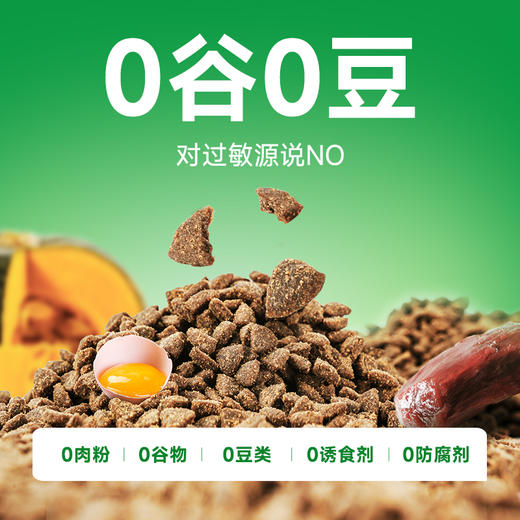 宠王府｜升级版鸡不知鸭不知鸡鸭鱼高蛋白酶解鲜肉低敏成幼猫试吃营养不掉毛 商品图5