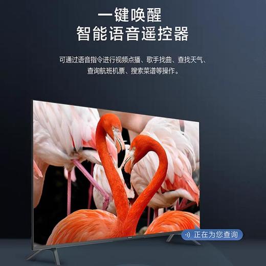 松下50LX600C液晶电视 商品图1