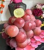 妮娜皇后葡萄 皮薄  甜甜的果粉浓郁葡萄 商品缩略图1