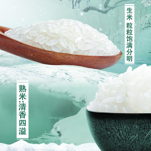 十月稻田寒露秋香长粒香大米 商品图2