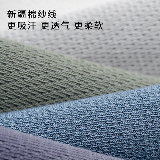 半醒袜男士新疆棉网孔透气长筒袜子 纯棉防臭吸汗透气 W0005 商品图2