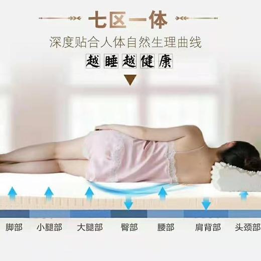 BZX V牌泰国乳胶枕（尺寸58*37
高度12*10） 商品图1