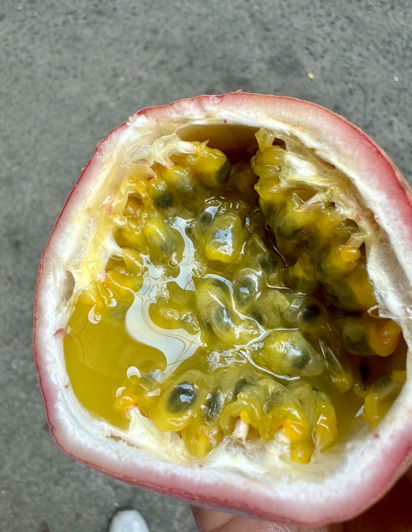 超大果！苮食®黑珍珠水蜜桃百香果，家族新成员，有别于其他任何品种百香果，能吃出水蜜桃的味道诶