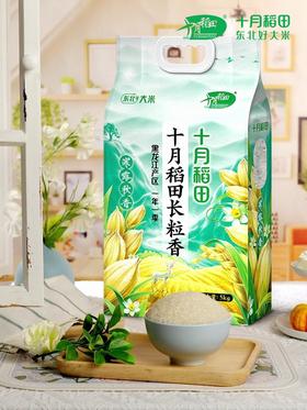 十月稻田寒露秋香长粒香大米