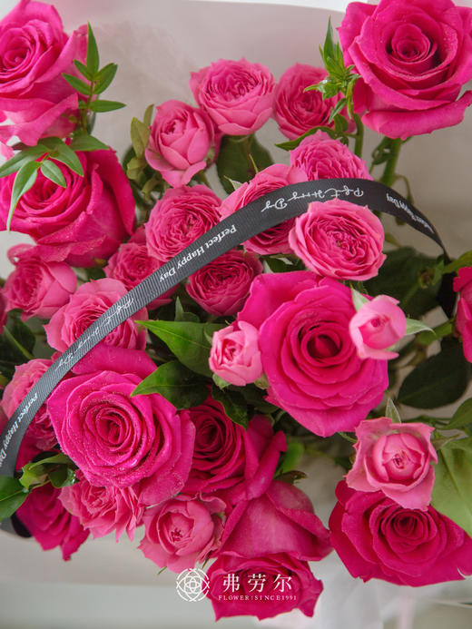 浪漫弗洛伊德 商品图1