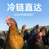 宠王府｜鲜肉低温烘焙猫粮鲜焙大师高端无谷低敏高蛋白幼猫成猫通用 商品缩略图7