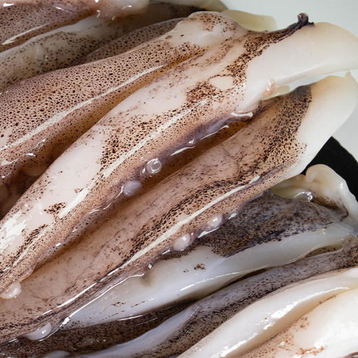 阿根廷鱿鱼须二本足 （只发南京）线上 商品图4