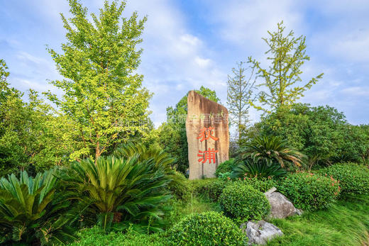 杭州慢姑娘等风来民宿 商品图9