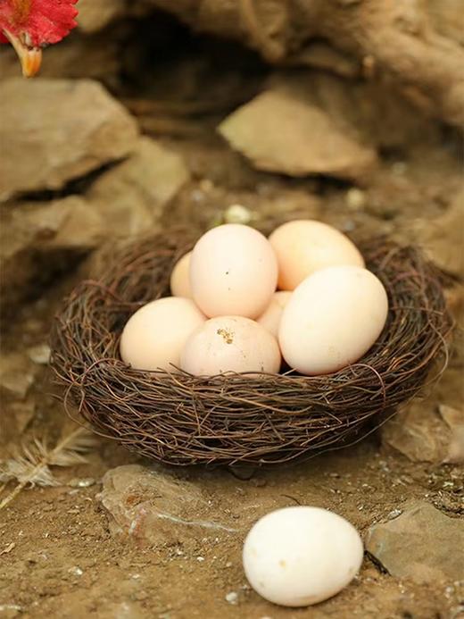 永新县散养土鸡蛋30枚 商品图1