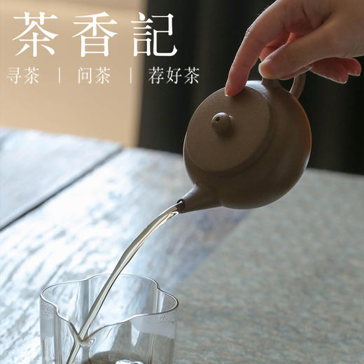 茶香记 老段泥平盖水平紫砂壶 经典壶型 古朴典雅 简约实用 沉稳耐看 商品图4