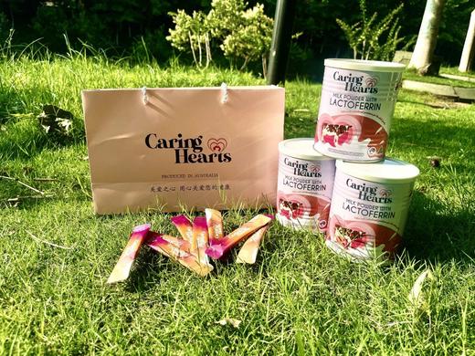 二店7m Caring Hearts 乳铁蛋白 1罐30条 商品图4