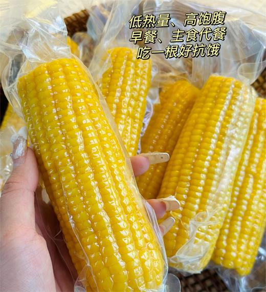【25年新玉米&有机黑糯玉米多种选择】出自内蒙敖汉旗北纬40度 香甜软糯 牙口不好也能吃  粗粮 减脂主食 饱满~更甜~更香~更软糯~更好吃~ 商品图6