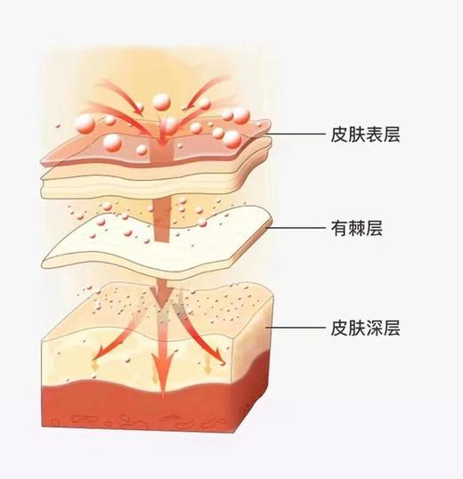 神根一条根原装正品金牌一条根关节贴布一根筋颈椎贴布精油膏 商品图2