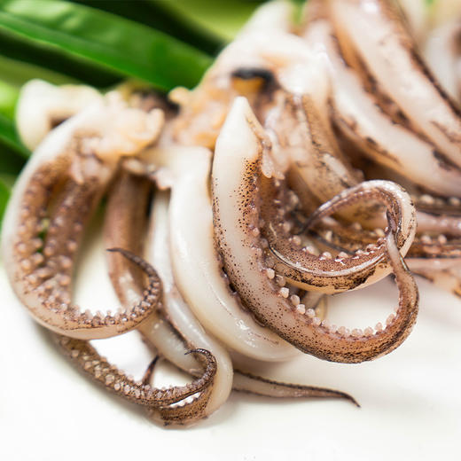 阿根廷鱿鱼须二本足 （只发南京）线上 商品图0