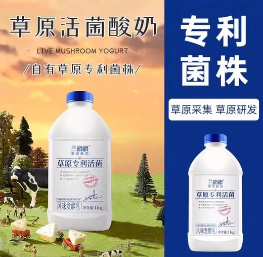 兰格格草原专利活菌酸奶1kg 商品图0