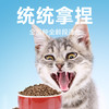 宠王府｜红门宴4.0鲜肉零肉粉猫粮酶解养胃成幼猫通用 商品缩略图9