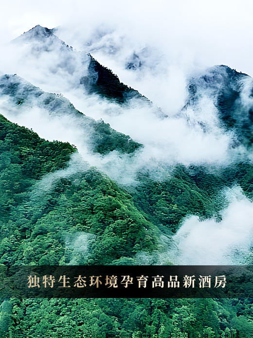 【吉星高照生茶】2022年革登新酒房头春古树原料 封山数年 口感味蕾上的征服！普洱茶生茶礼盒装 357克/饼 拍5发6 商品图4